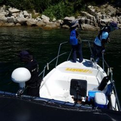 Magic(マジック) 釣果