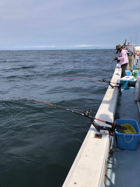 リトルワン 釣果