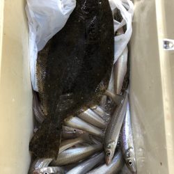 リトルワン 釣果