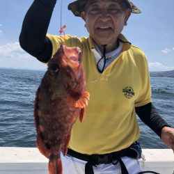 リトルワン 釣果