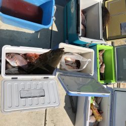 リトルワン 釣果