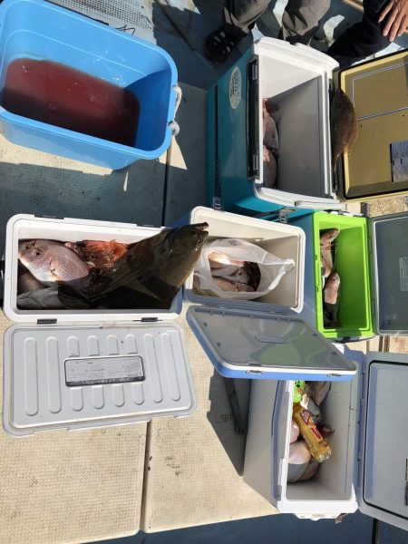 リトルワン 釣果