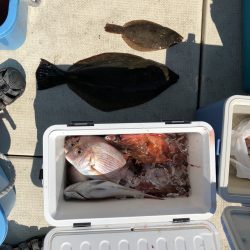 リトルワン 釣果