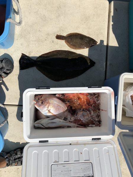 リトルワン 釣果