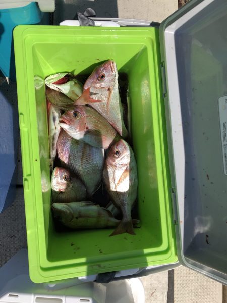 リトルワン 釣果