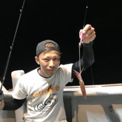 たいし丸 釣果