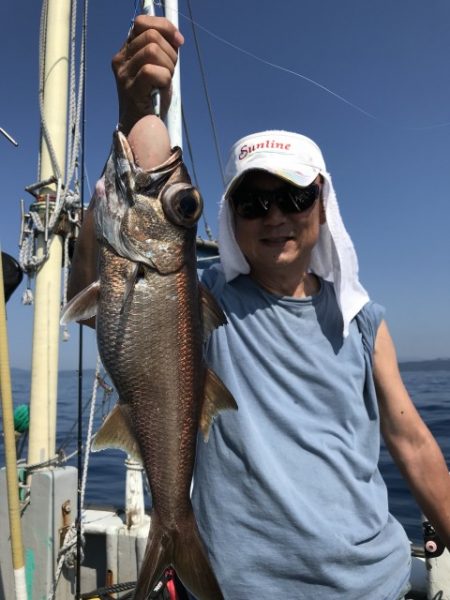 たいし丸 釣果