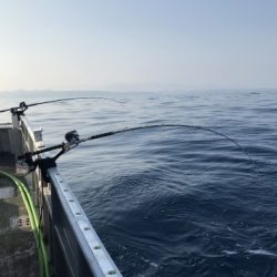 たいし丸 釣果