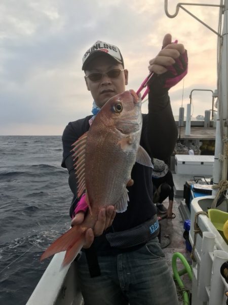 たいし丸 釣果
