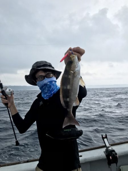 たいし丸 釣果