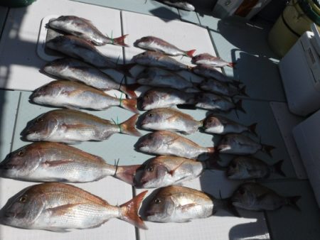 遊漁船 幸友丸 釣果