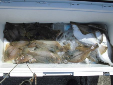 大進丸(新潟) 釣果