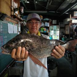 ふじや釣舟店 釣果