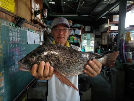 ふじや釣舟店 釣果