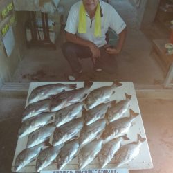 ふじや釣舟店 釣果