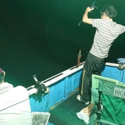 龍神丸(福井) 釣果