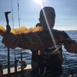 シーモンキー 釣果