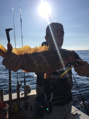 シーモンキー 釣果