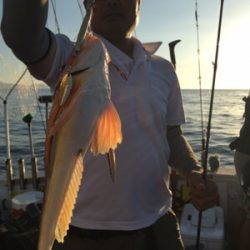 シーモンキー 釣果