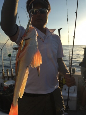 シーモンキー 釣果