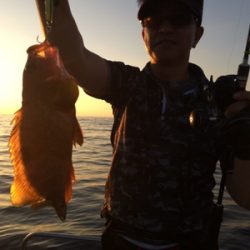 シーモンキー 釣果