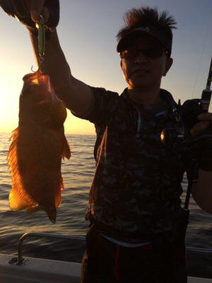 シーモンキー 釣果