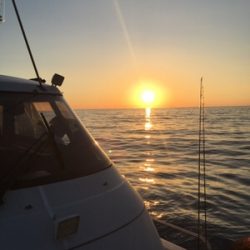 シーモンキー 釣果