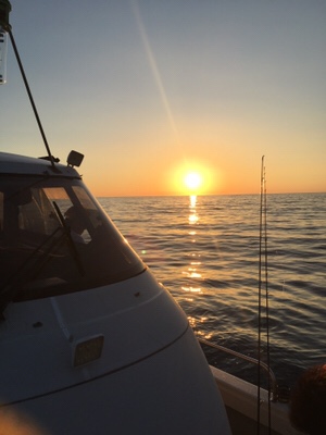 シーモンキー 釣果