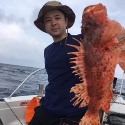 シーモンキー 釣果