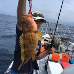 シーモンキー 釣果