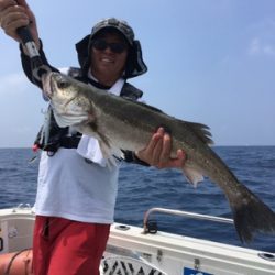 シーモンキー 釣果