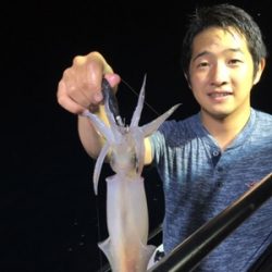 シーモンキー 釣果