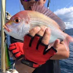 シーモンキー 釣果