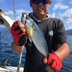 シーモンキー 釣果