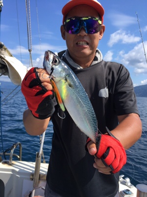 シーモンキー 釣果