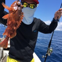 シーモンキー 釣果