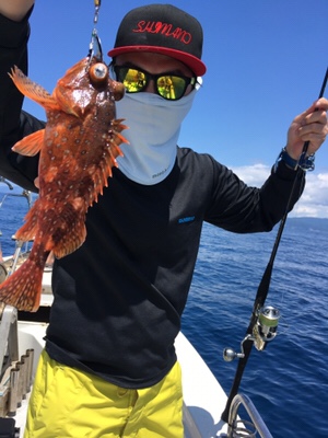 シーモンキー 釣果