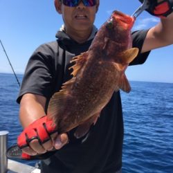 シーモンキー 釣果