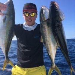 シーモンキー 釣果