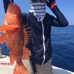 シーモンキー 釣果