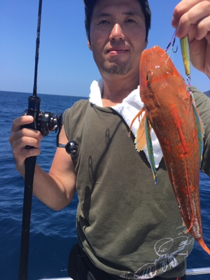 シーモンキー 釣果