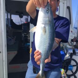 シーモンキー 釣果