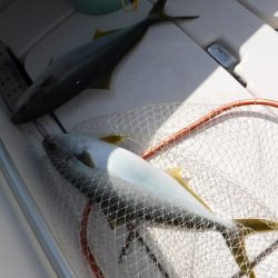 BlueNote Fishing Taxi 釣果