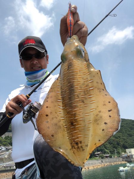 夏イカエギングって実はめっちゃ楽しい！【ジャイアン氏連載記事No.23】