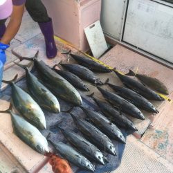 徳島県南近海オフショア情報【きしょう氏連載 vol.2】