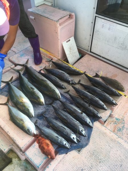 徳島県南近海オフショア情報【きしょう氏連載 vol.2】