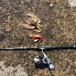 造形の中にこだわりと根がかりを防ぐ機能が凝縮！ メガバスTACO-Leモニター投稿