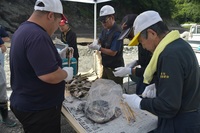 秩父フライフィールド 釣果