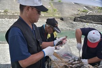 秩父フライフィールド 釣果