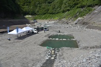 秩父フライフィールド 釣果